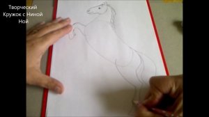 Как нарисовать  лошадь (коня). Уроки рисования для начинающих