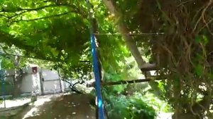 Дом на берегу моря,  ст. Должанская, Ейский район, Краснодарский края.