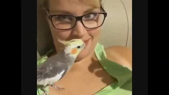 Не талант, а талантище смотреть онлайн