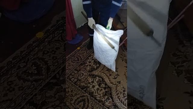 Змея заползла в дом. Спасатель Даниил - ловец змей смотреть онлайн