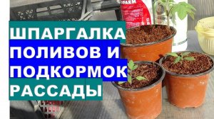 Шпаргалка для поливов и подкормок рассады Rules for watering and fertilizing seedlings