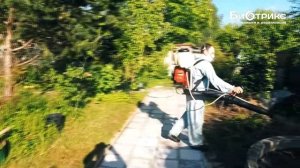 Избавляемся от комаров на даче.Мокрая обработка мото-опрыскивателем