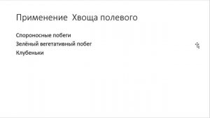 Полезные и ядовитые хвощи: определение, свойства и применение хвоща полевого