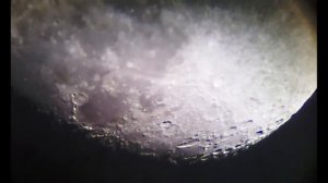 LUNA,CELESTRON AstroMaster-90