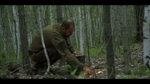 Тихая охота. Такого разнообразия грибов я еще не видел.