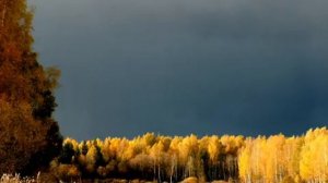 Спасибо Осень - Thank you Autumn -relax-