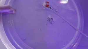 ПОДКЛЮЧАЕМ СВЕТОДИОДНЫЙ СВЕТИЛЬНИК LED54W!