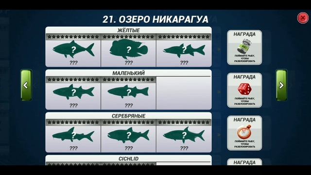 Что такое коллекции в игре Fishing Clash.