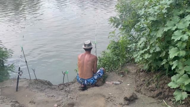КЛЮЁТ ВСЁ! РЫБАЛКА ДОНКОЙ НА СОМА И САЗАНА В РЕКЕ КУБАНЬ.