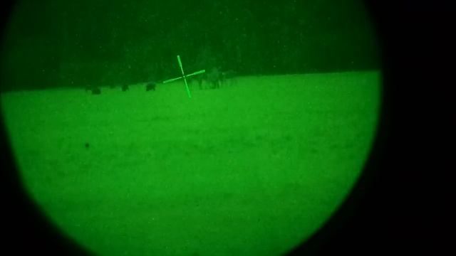 Night vision hunting - Dedal 480 смотреть онлайн