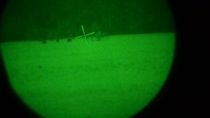 Night vision hunting - Dedal 480