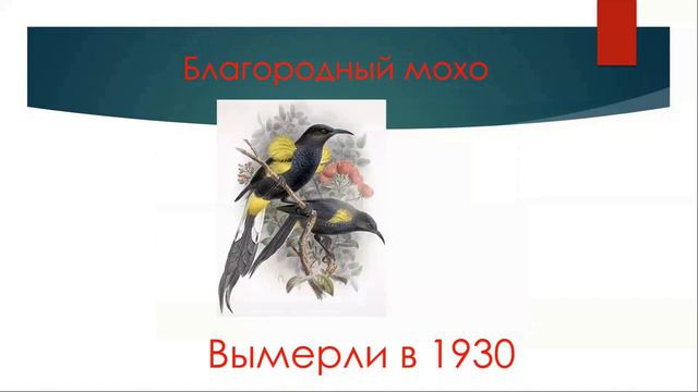 Вымершие животные