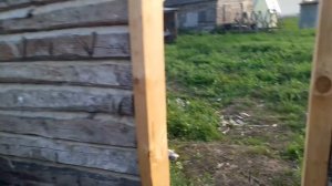 БАНЯ соседа (часть 1)