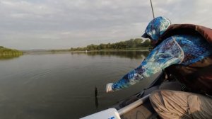 Окуни на диповые кренки и тейл спиннеры