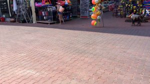 Турция Карета Релакс