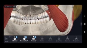 Флегмона крыловидно-нижнечелюстного пространства | Хирургическая стоматология