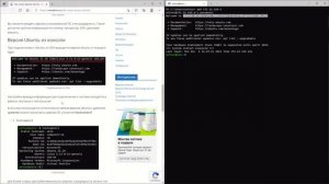Как узнать версию Ubuntu