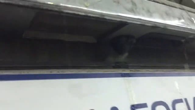 Миниомыватель камеры в LAND ROVER FREELANDER 2 от ВИДЕОСИСТЕМ