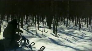 Лыжный модуль для мотобуксировщика Чинук