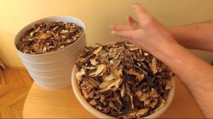 Робимо грибний порошок білих грибів.