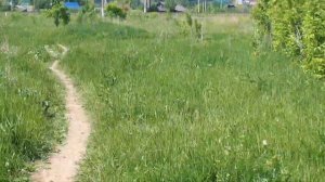 Сарапул. Путь на Дубровку.