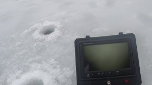 ЯЗЬ - камера вашей мечты!!! Обзор подводной камеры #Язь-52!