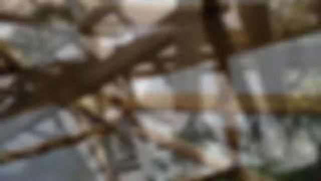 Беседки. Деревянные, на металлокаркасе. смотреть онлайн