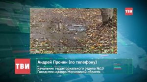 Собиратели листьев