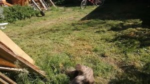 Вот так отлетает колпак от машины часть вторая
