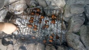 Нижня Крынка.Монаховский карьер.Июнь