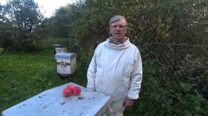 Самый надёжный способ форм -  я гнезда в зиму.  Пасека Лаврова