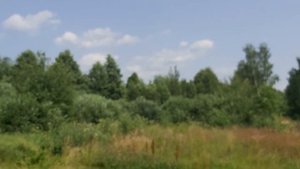 30.23.Продам будинок у ліса, у озера. Село Олешня.