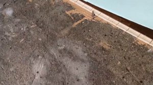 Укладка паркетной доски на клей на стяжку