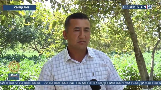 Помилование. Исполнение в Самарканде и Сырдарье смотреть онлайн