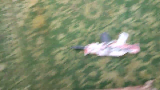 1 часть не выходи из дома смотреть онлайн