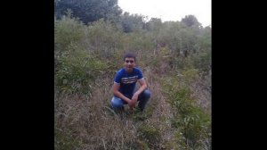 samaxi elnur ibrahimov