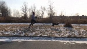 КАНИКРОСС - ЧТО ЭТО?| Зачем бегать с собакой? | ЗОЖ ли это?