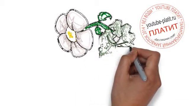 Как правильно рисовать карандашом plants vs zombies garden смотреть онлайн