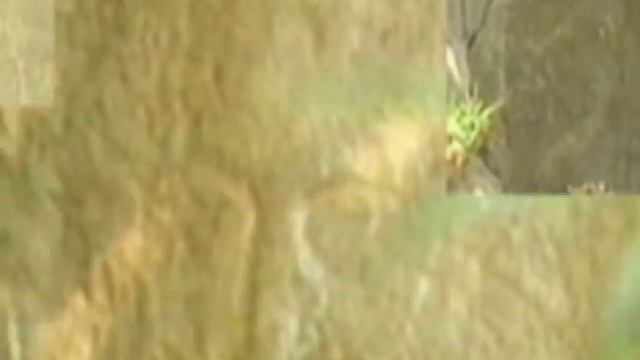 Игорь Наджиев Молитва Оптинских старцев смотреть онлайн