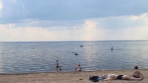 КУДРОВО: Где купаться летом?