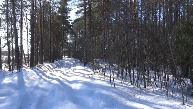 Весна пришла!
