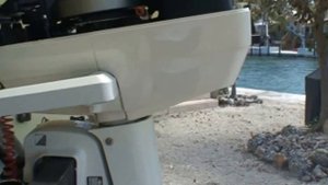 Johnson 4 HP Outboard Motor