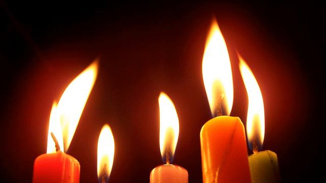 Виталий и Наталья Сколовы - Дерево любви. смотреть онлайн