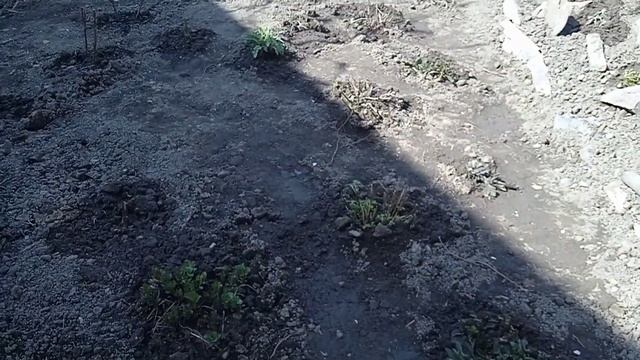 Как я переделал альпинарий .