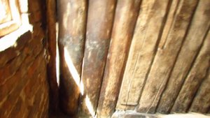 Сарай для бычков, коров, телят КРС, ВРХ Своими руками