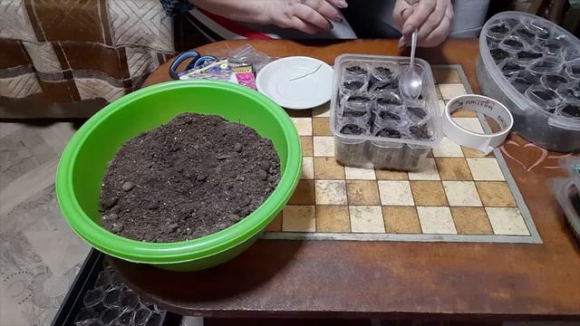 Посев цветов петуний, дихондры, колеуса, виолы. смотреть онлайн