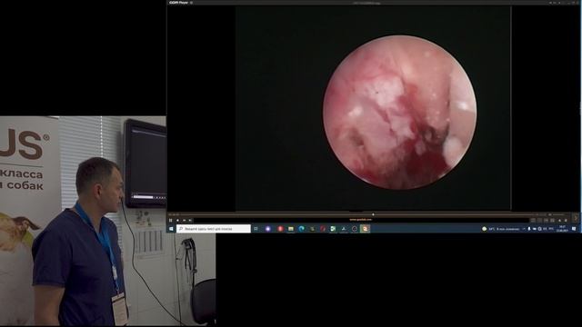 Отиты у кошек и собак Ставропольский университет2.mp4