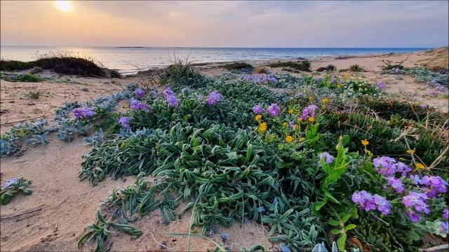 Рудольф Штайнер. Происхождение Страданий. смотреть онлайн