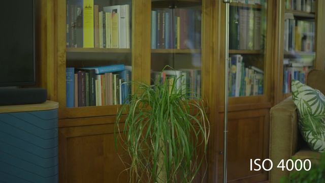 Panasonic Lumix S5 ISO test смотреть онлайн