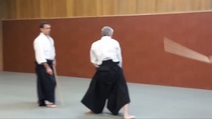Aikido: Bruno GONZALEZ and Pascal GUILLEMIN